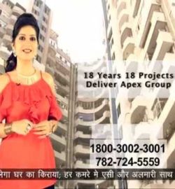 Exclusive Property 4 You Apex Floral Realcon Festive scheme, Must Watch